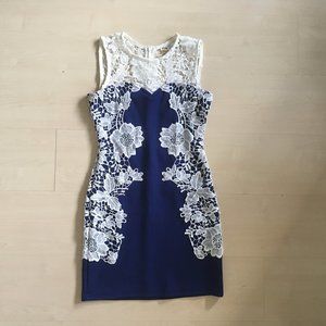 Beautiful Slim Fit Navy Blue Laced Dress 💎